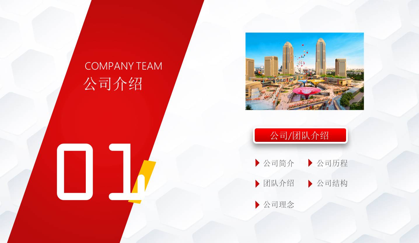 项目策划 (43).pptx